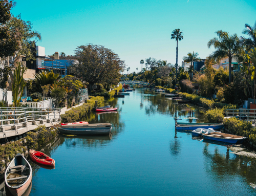 Mysterious Dog Deaths in Venice Canals: What Pet Owners Need to Know Now